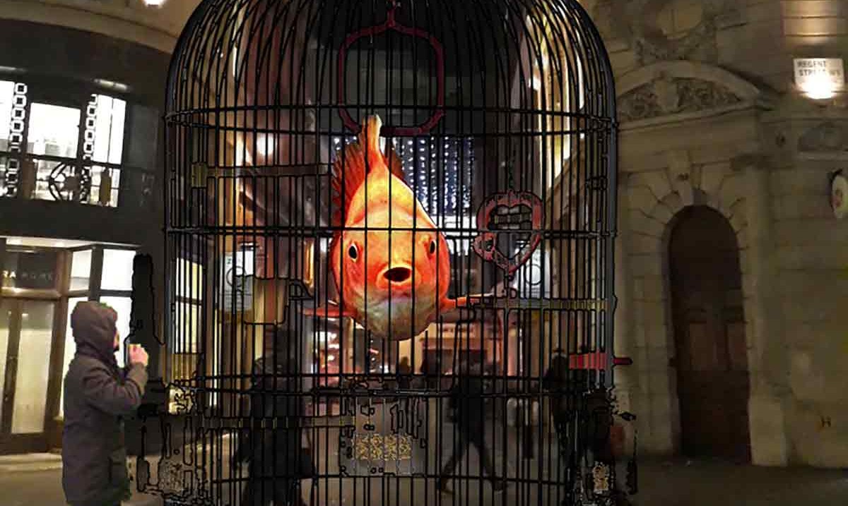 J'ai attrapé un