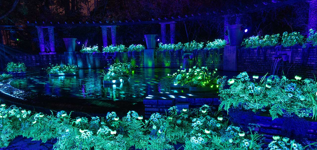 La Fontaine Enchantée Fete des lumieres